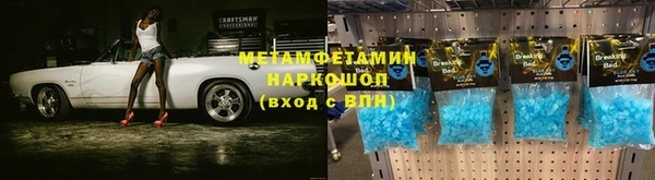 прущие грибы Инта
