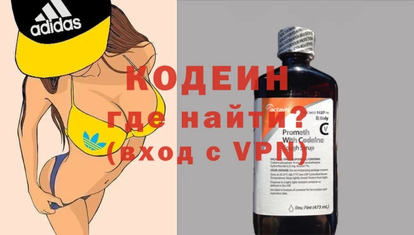 прущие грибы Иннополис