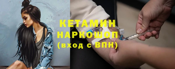 прущие грибы Инта