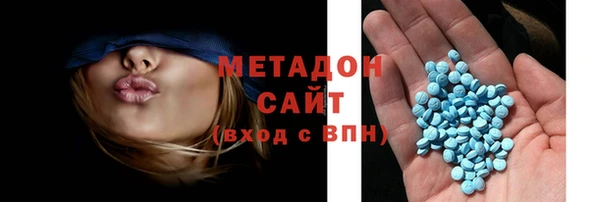 прущие грибы Инта