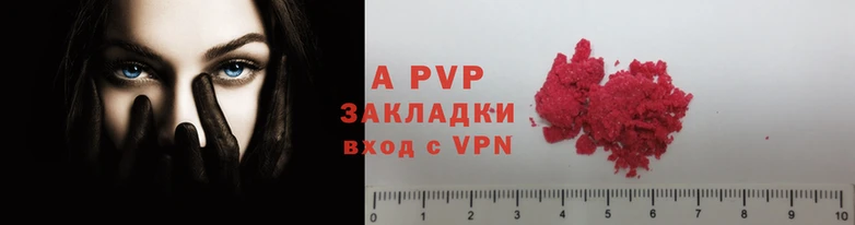 прущие грибы Иннополис