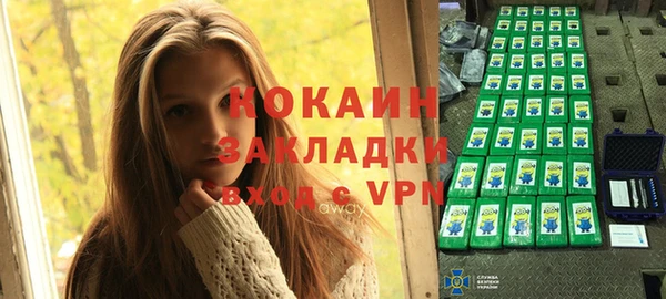 прущие грибы Иннополис
