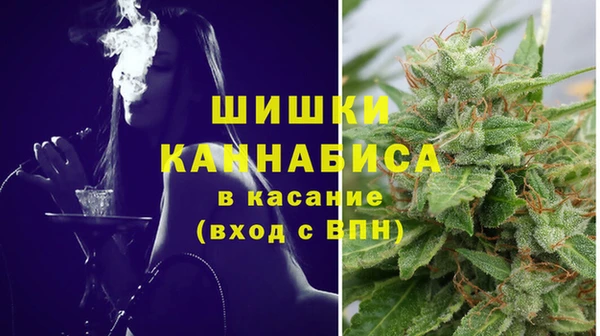 прущие грибы Инта