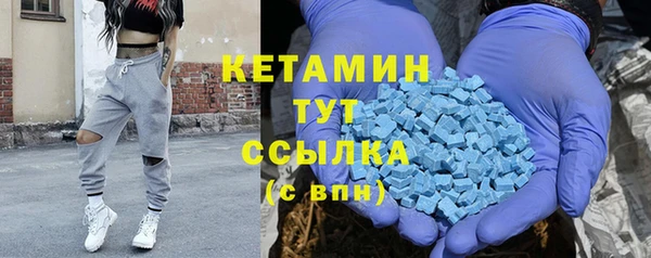 прущие грибы Иннополис