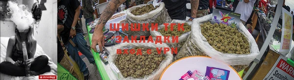 прущие грибы Иннополис