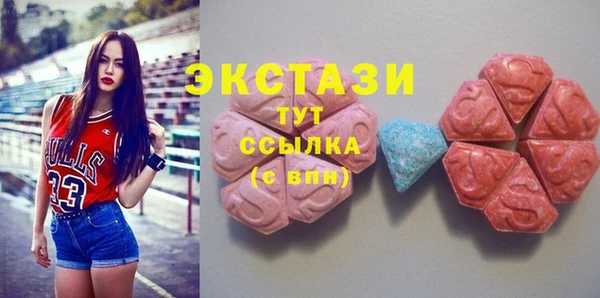 прущие грибы Инта