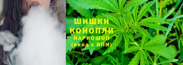 прущие грибы Инта
