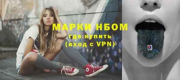 прущие грибы Иннополис